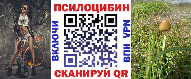Псилоцибиновые грибы ЛСД что такое Новый Оскол